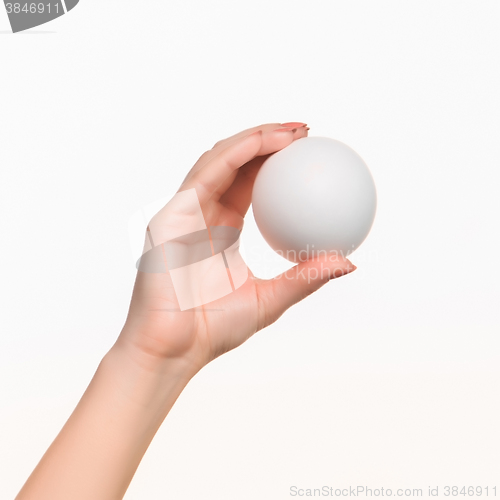 Image of The female hand holding white blank styrofoam ball 