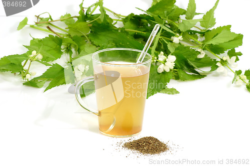 Image of Tea of stinging nettles