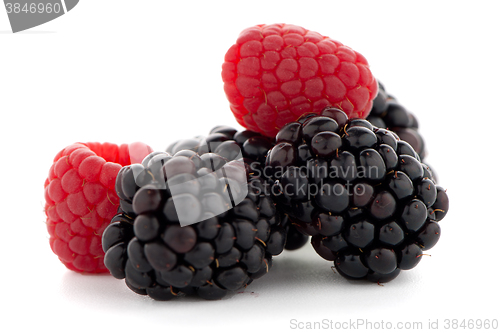 Image of Raspberry with blackberry 