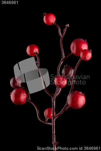 Image of Red Christmas decoration branches