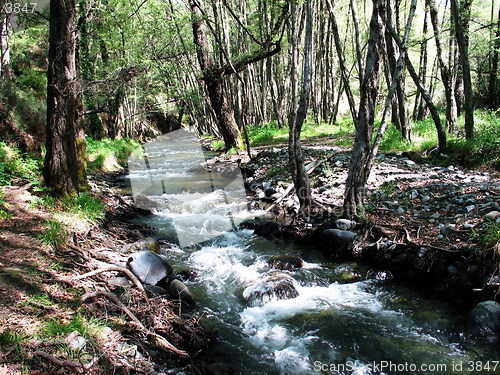 Image of Creek. Cyprus