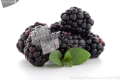 Image of Blackberries with leaves