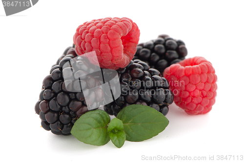 Image of Raspberry with blackberry 