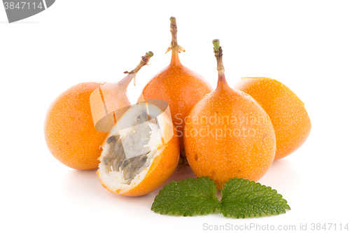 Image of Passion fruit maracuja granadilla