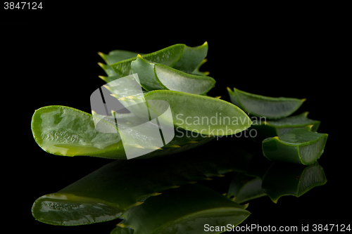 Image of Sliced aloe leaf