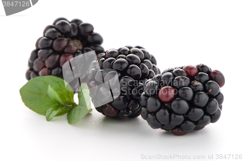 Image of Blackberries with leaves