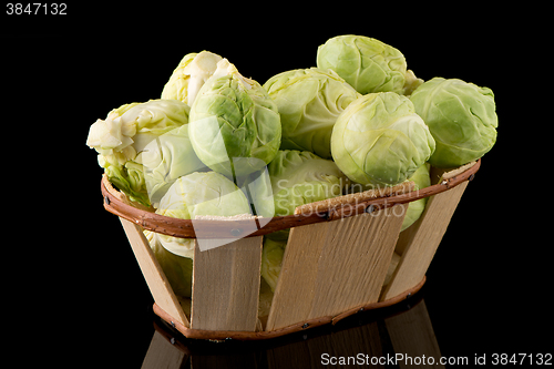 Image of Fresh brussels sprouts