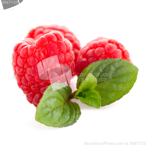 Image of Raspberries with leaves