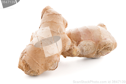 Image of Ginger root on white