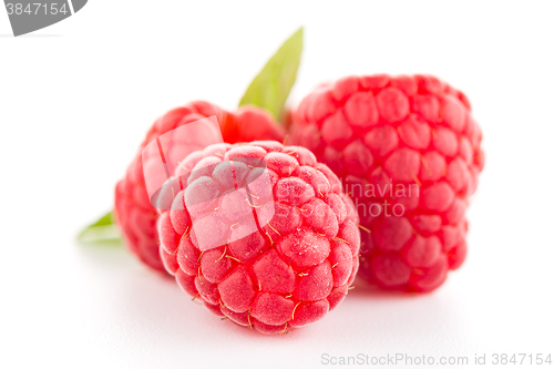 Image of Raspberries with leaves