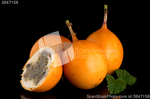 Image of Passion fruit maracuja granadilla