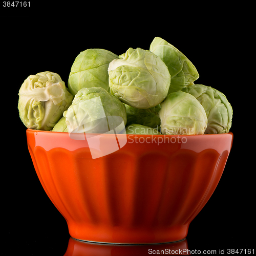 Image of Fresh brussels sprouts