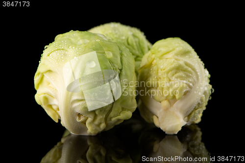 Image of Fresh brussels sprouts