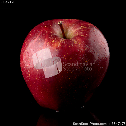 Image of Fresh red apple