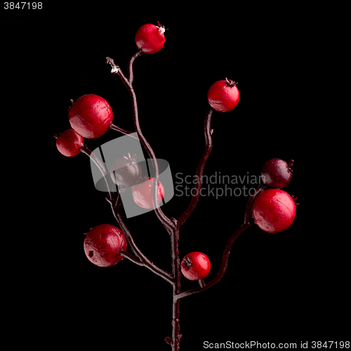 Image of Red Christmas decoration branches