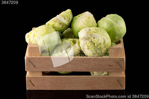 Image of Fresh brussels sprouts