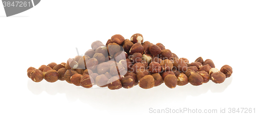 Image of Heap of old hazelnuts