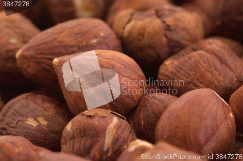 Image of Heap of old hazelnuts