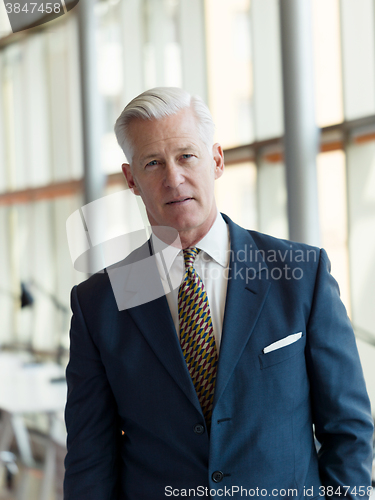 Image of portrait of handsome senior business man