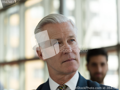 Image of portrait of handsome senior business man