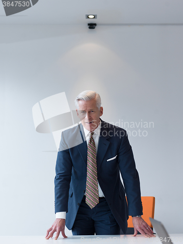 Image of confident and handsome  senior business man