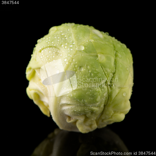 Image of Fresh brussels sprouts