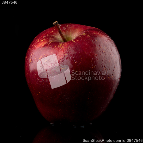 Image of Fresh red apple