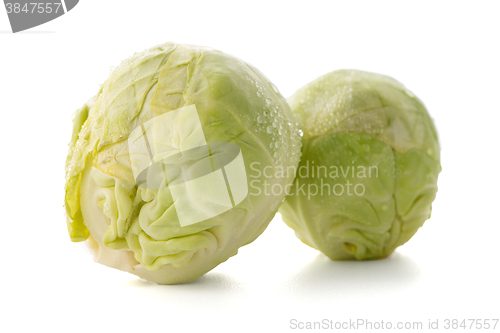 Image of Fresh brussels sprouts