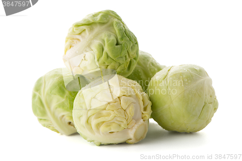 Image of Fresh brussels sprouts