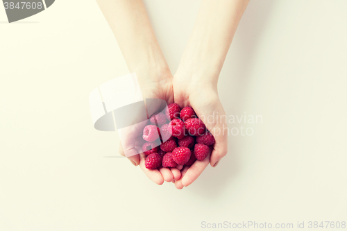 Image of close up of woman hands holding raspberries