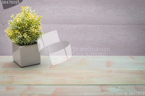 Image of Small decorative plant on a wooden table