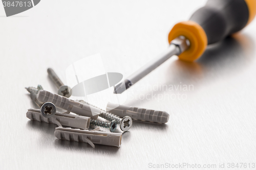 Image of Screwdriver, screws and plastic dowels