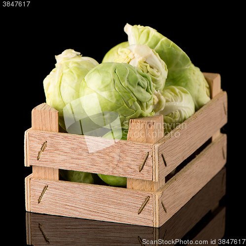 Image of Fresh brussels sprouts