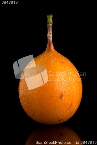 Image of Passion fruit maracuja granadilla