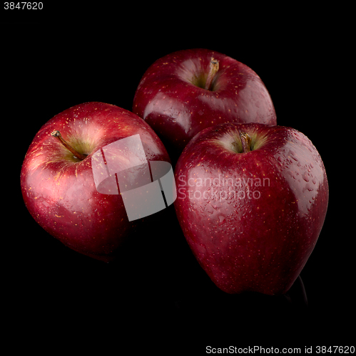 Image of Fresh red apples