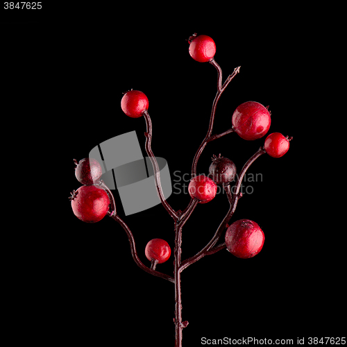 Image of Red Christmas decoration branches