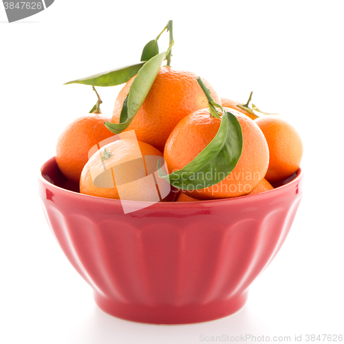 Image of Tangerines on ceramic red bowl 