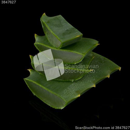 Image of Sliced aloe leaf
