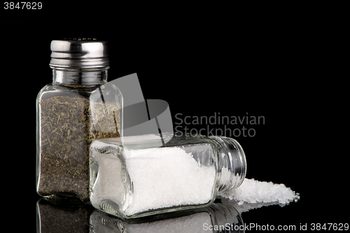 Image of  Salt and oregano shakers