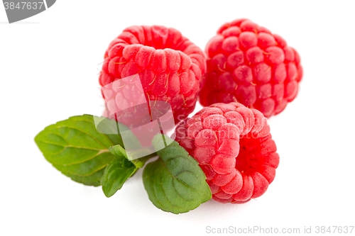 Image of Raspberries with leaves