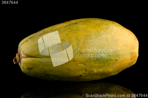 Image of Papaya fruit on black background