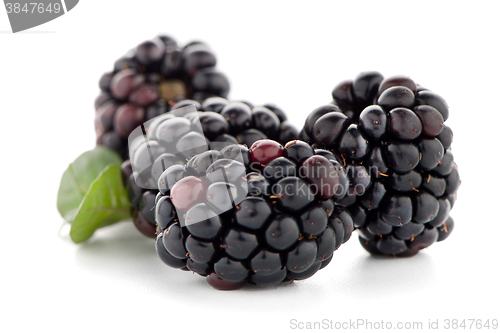 Image of Blackberries with leaves