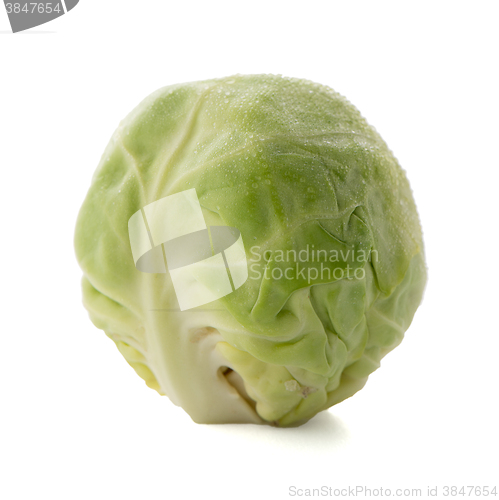 Image of Fresh brussels sprouts