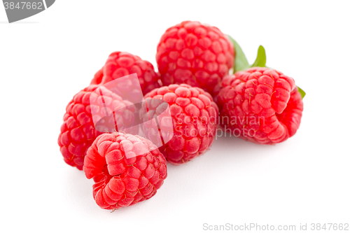 Image of Raspberries with leaves