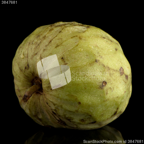 Image of Fresh Custard Apple