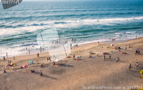 Image of Beach on the Indian Ocean