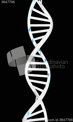 Image of DNA structure model