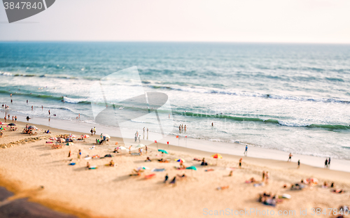 Image of Beach on the Indian Ocean