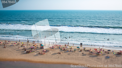 Image of Beach on the Indian Ocean