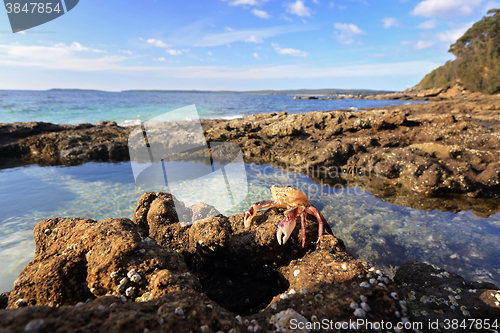 Image of Enchanted Rockpool Jervis Bay